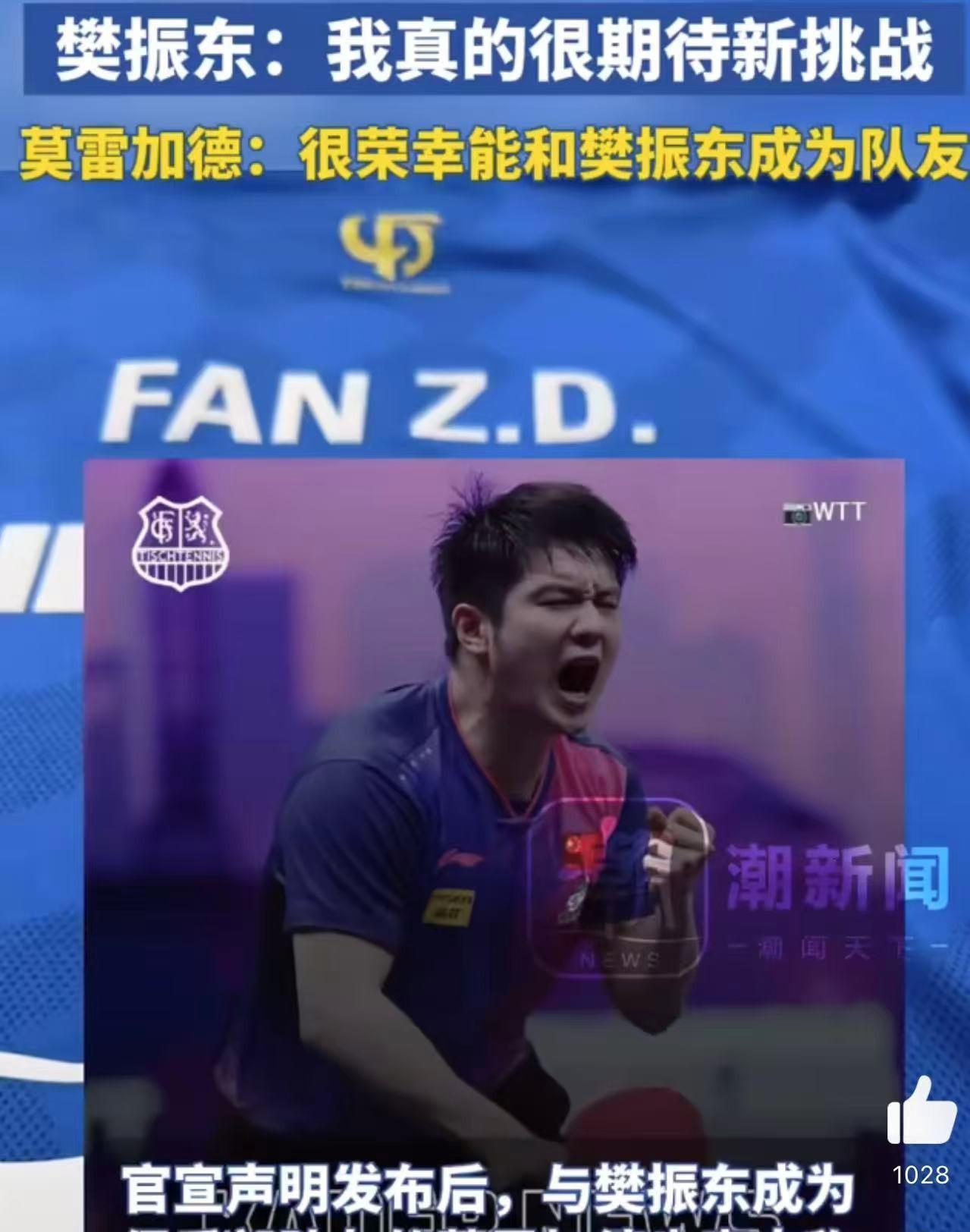 包含奥地利乒乓球队横扫英国乒乓球队，樊振东爆发神勇的词条