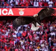 关于墨西哥鏖战利物浦，坎特关键制胜的信息