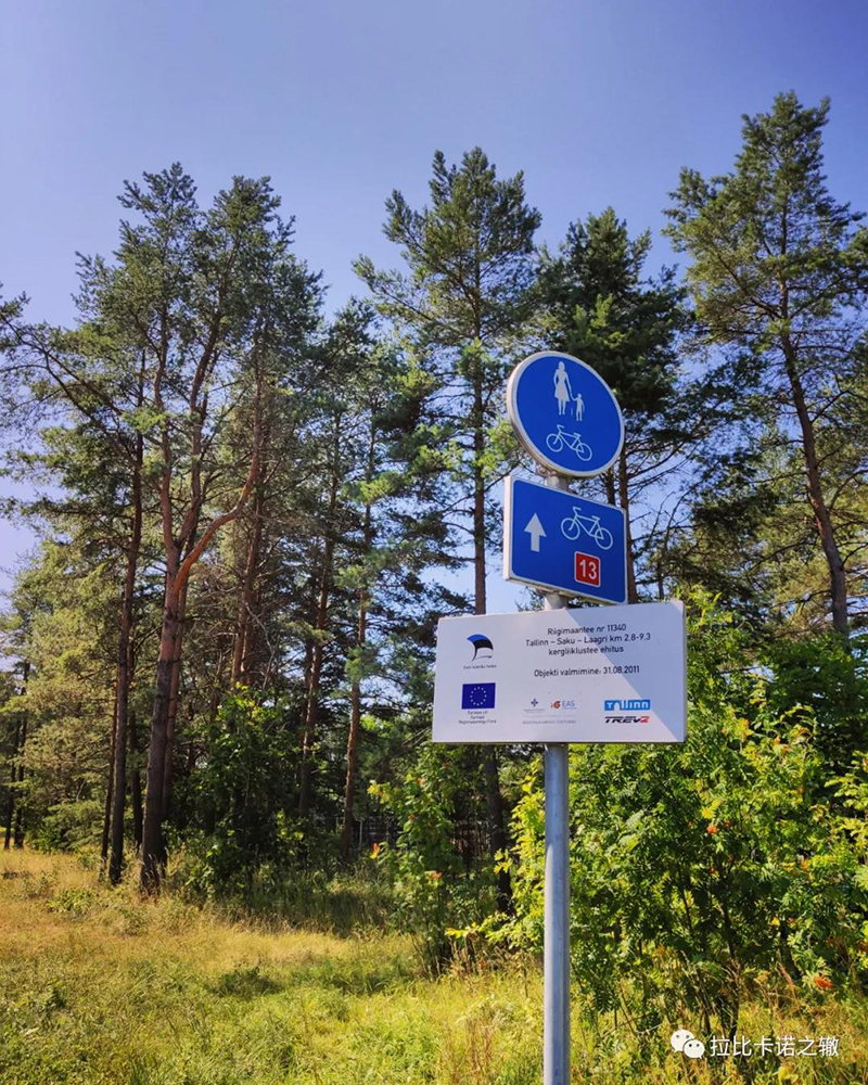 lol竞猜-捷克迎战爱沙尼亚，备战策略需调整