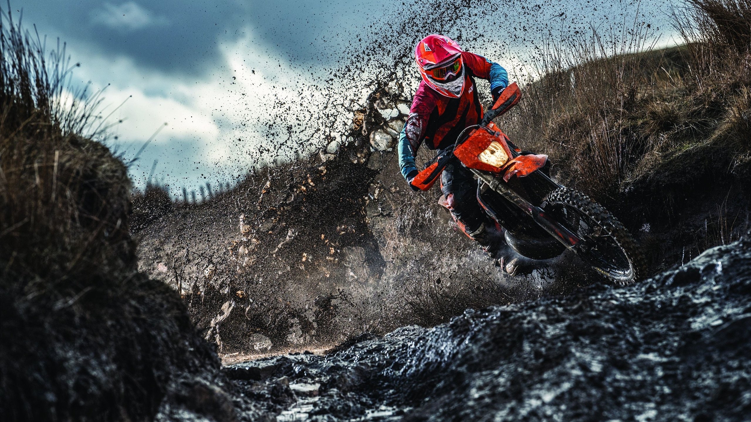 赛道上的逆袭，诺里斯率雷诺鏖战红牛，改写F1格局